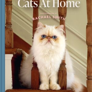 Cats at Home – Hardback