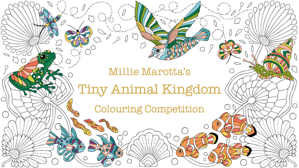 colouring competition